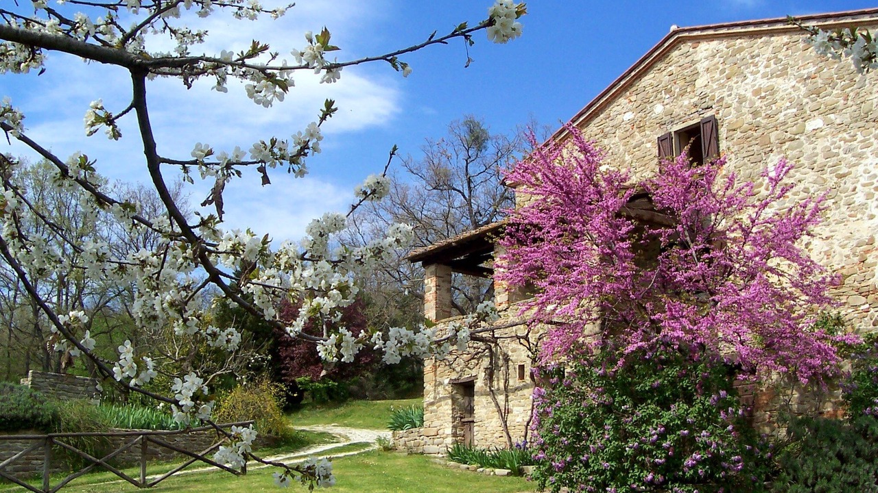 Photo of Outdoor in Pieve Santo Stefano