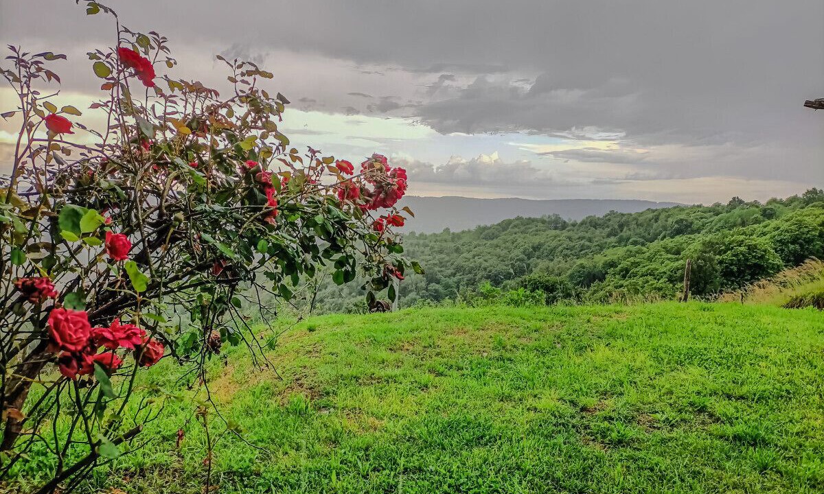 Photo of Outdoor in Lugnacco