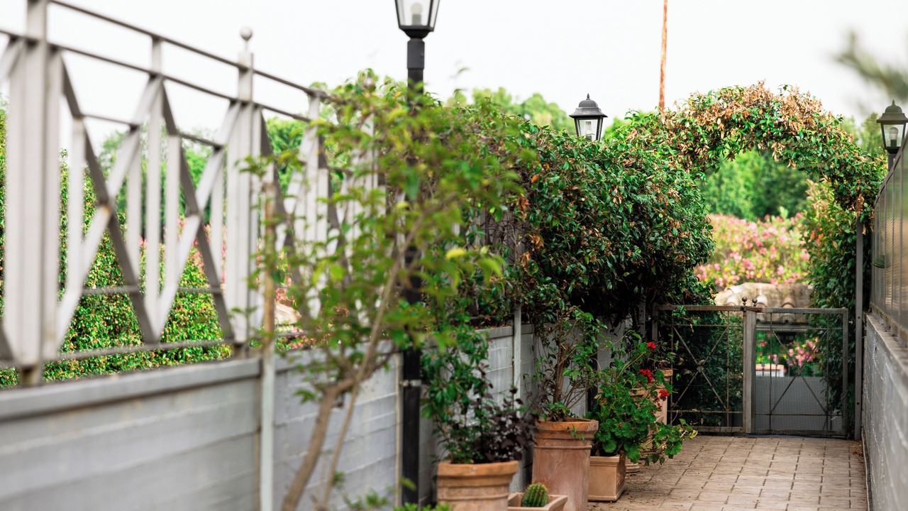 Photo of Outdoor in Suburbio IX Aurelio