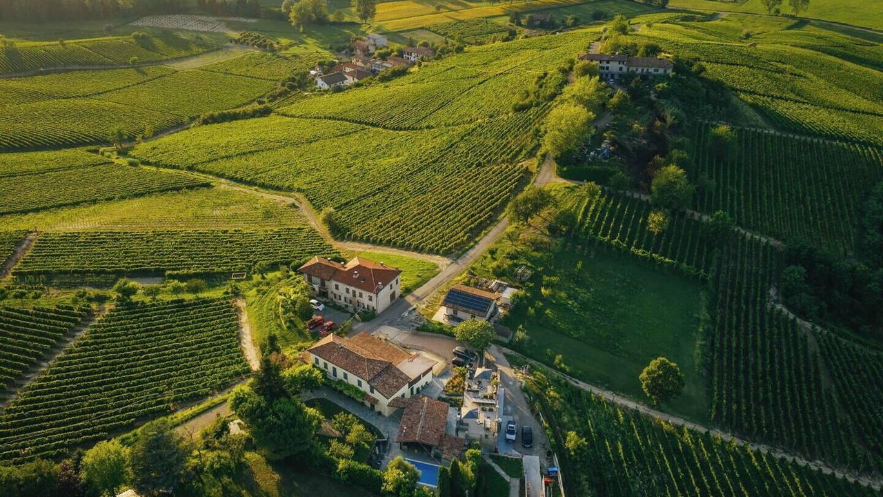 Photo of Outdoor in Canelli