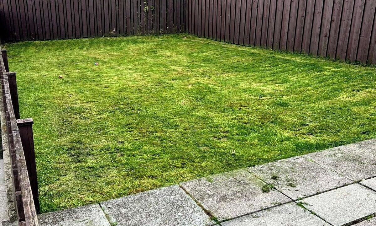 Photo of Outdoor in Dromara