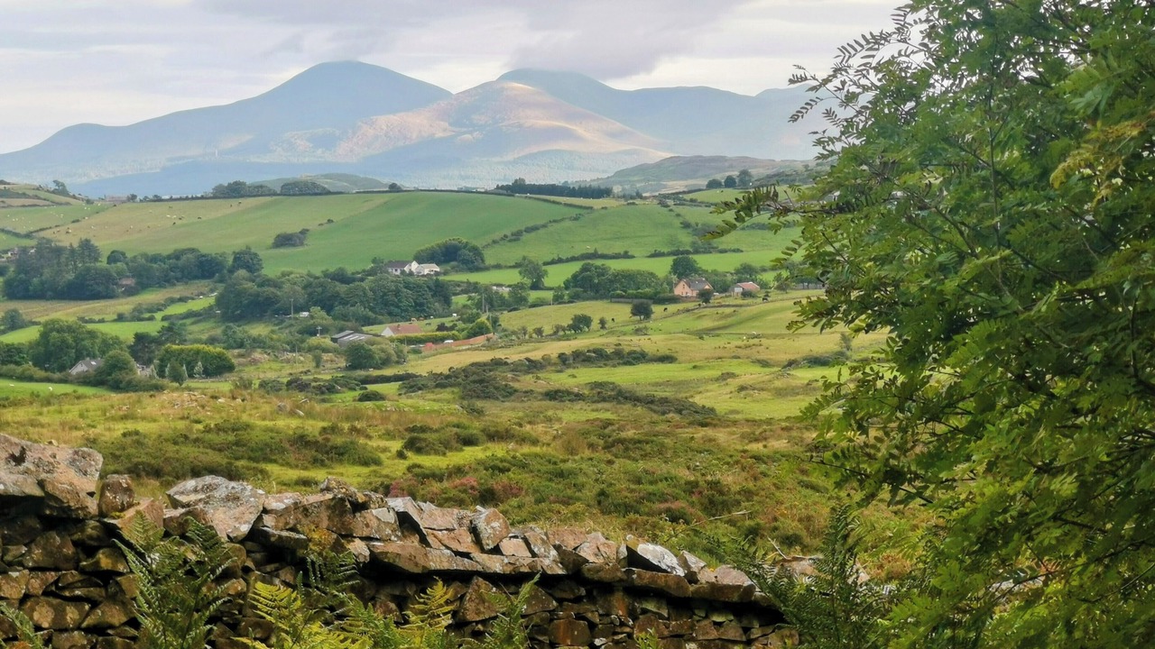 Photo of Others in Dromara