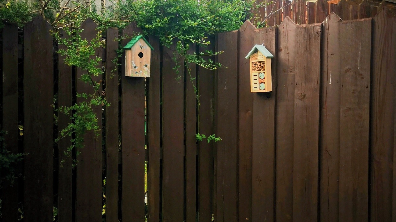 Photo of Outdoor in Dromara