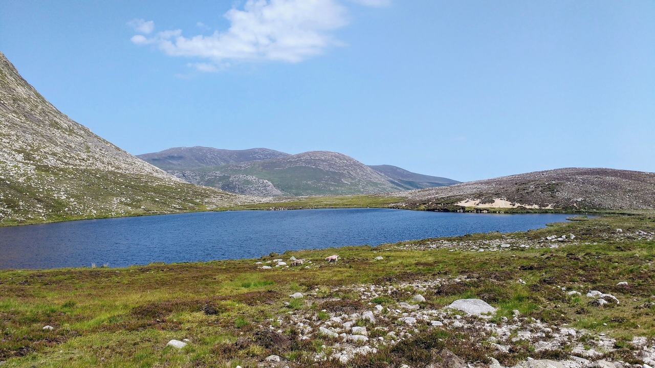 Photo of Outdoor in Dromara