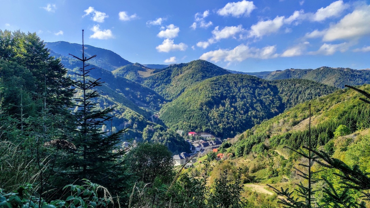Photo of Outdoor in Kopaonik