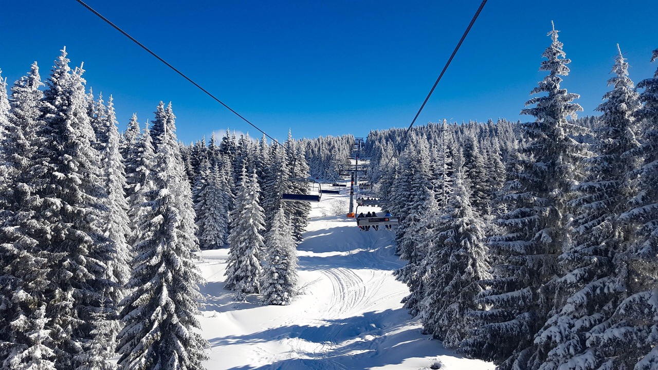 Photo of Others in Kopaonik