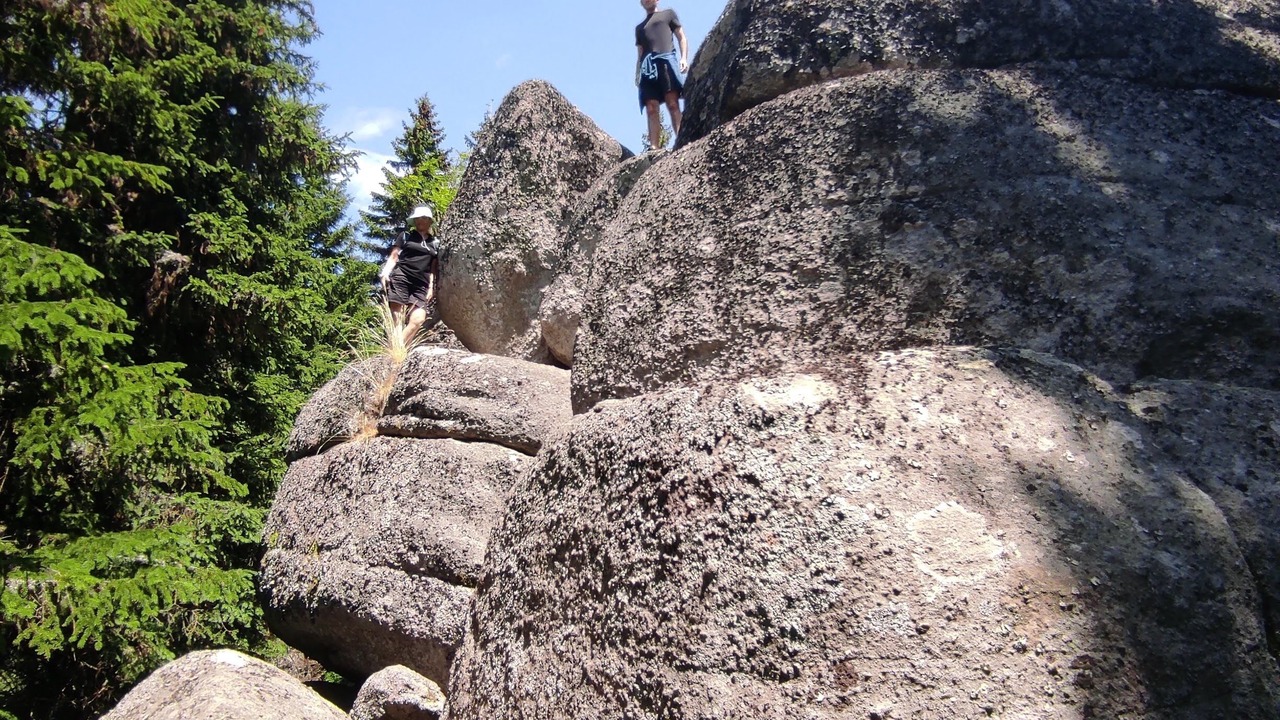 Photo of Others in Kopaonik