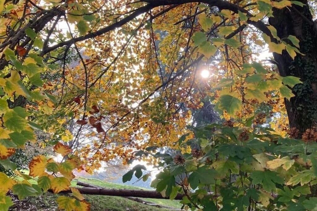 Photo of Outdoor in Bioglio