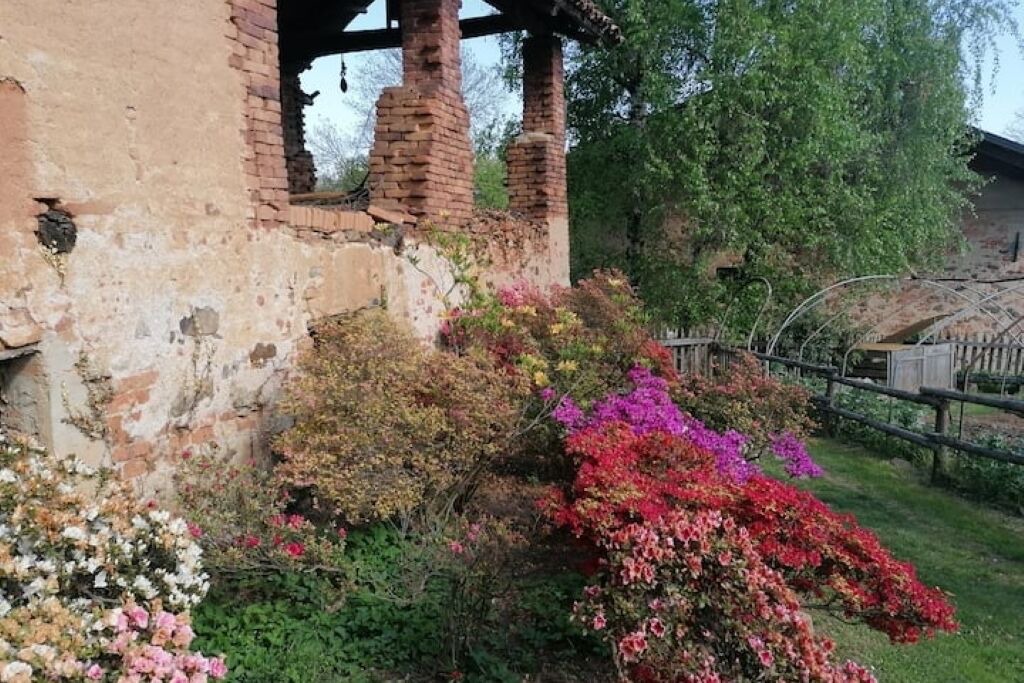 Photo of Outdoor in Bioglio
