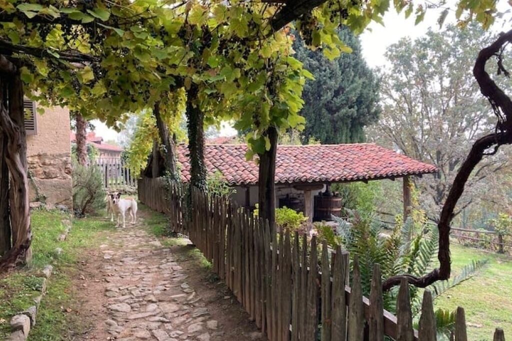 Photo of Outdoor in Bioglio