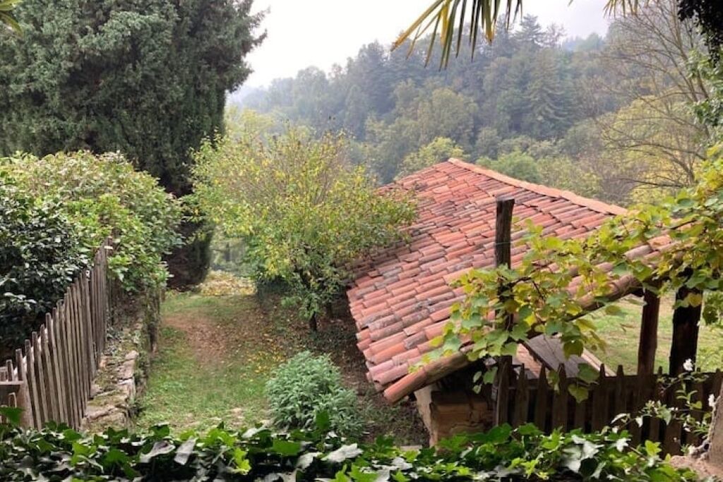 Photo of Outdoor in Bioglio