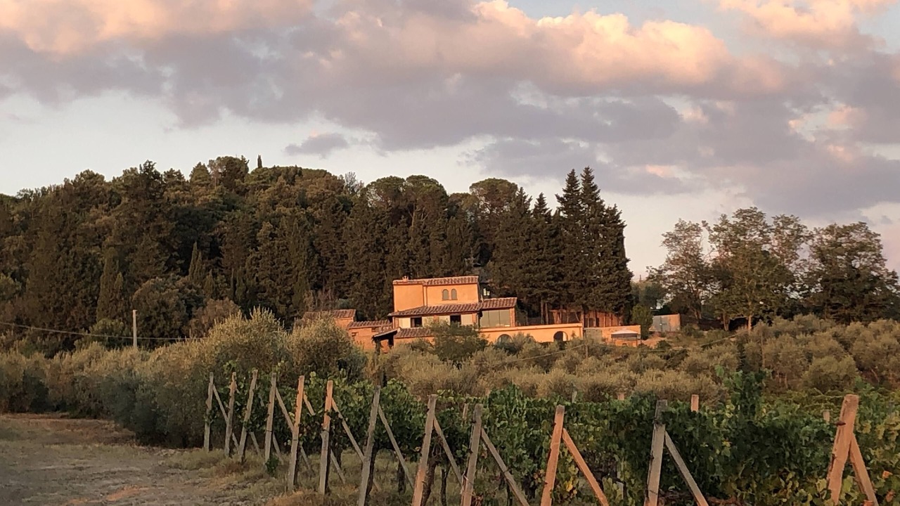 Photo of Others in Barberino Val d'Elsa