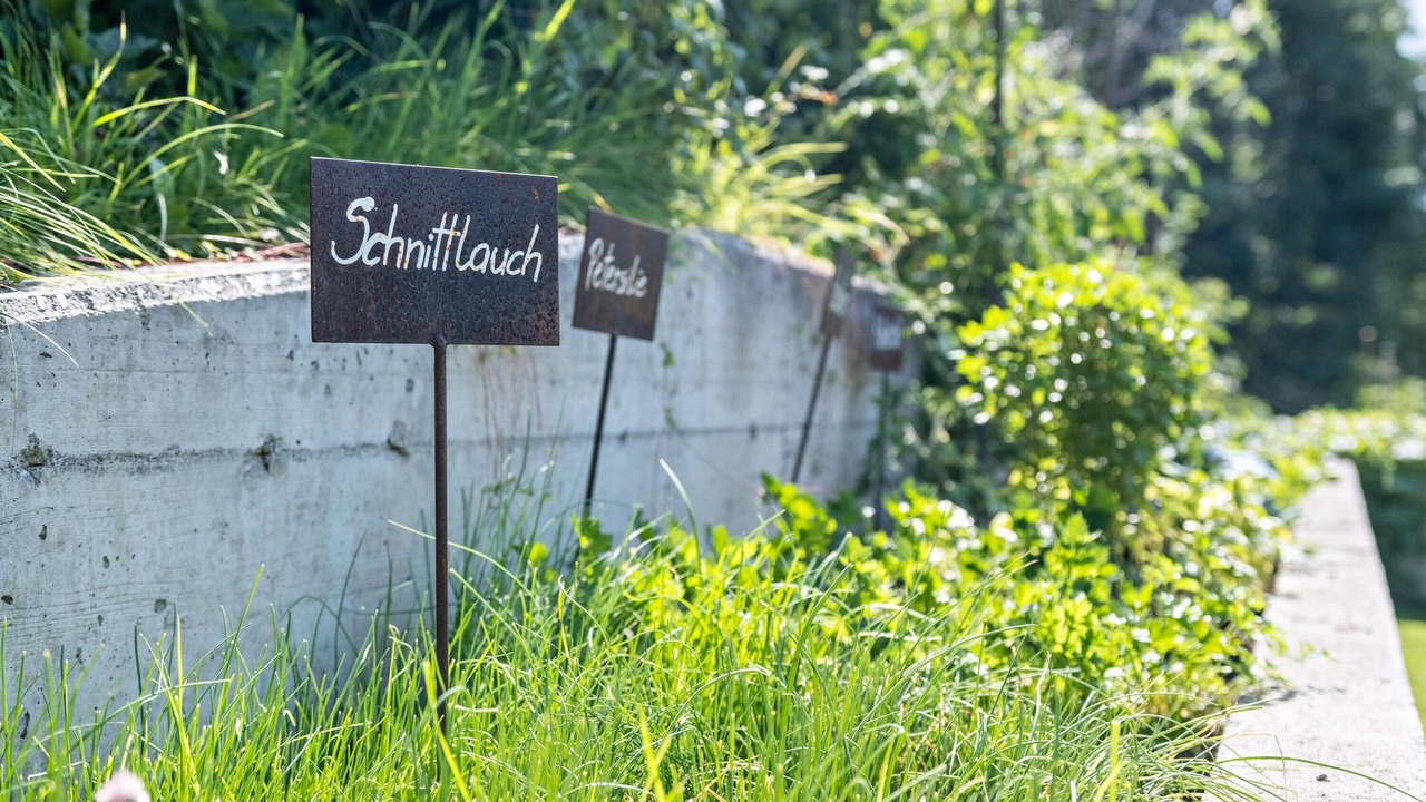 Photo of Outdoor in Sluderno