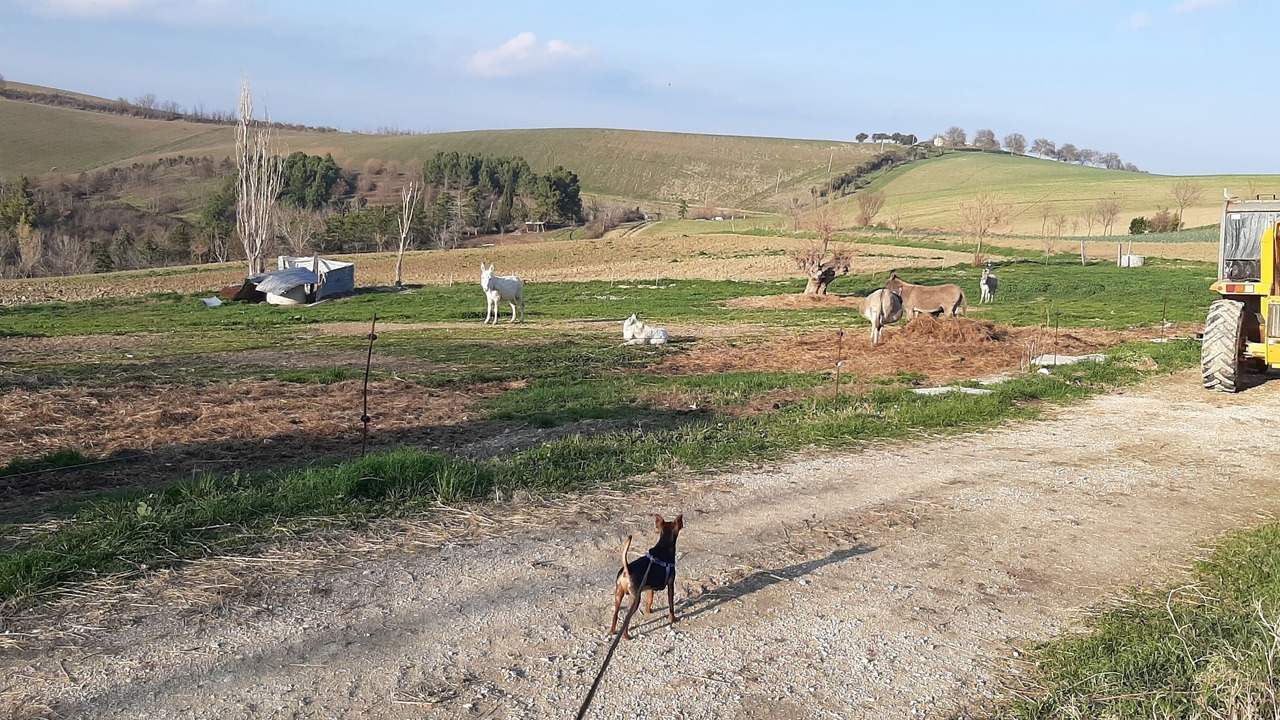 Photo of Outdoor in Monte Porzio