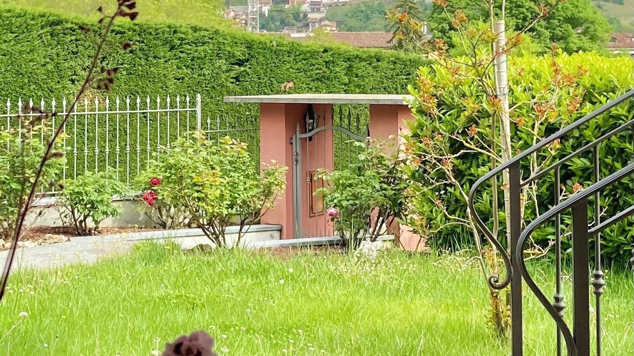 Photo of Outdoor in Canelli