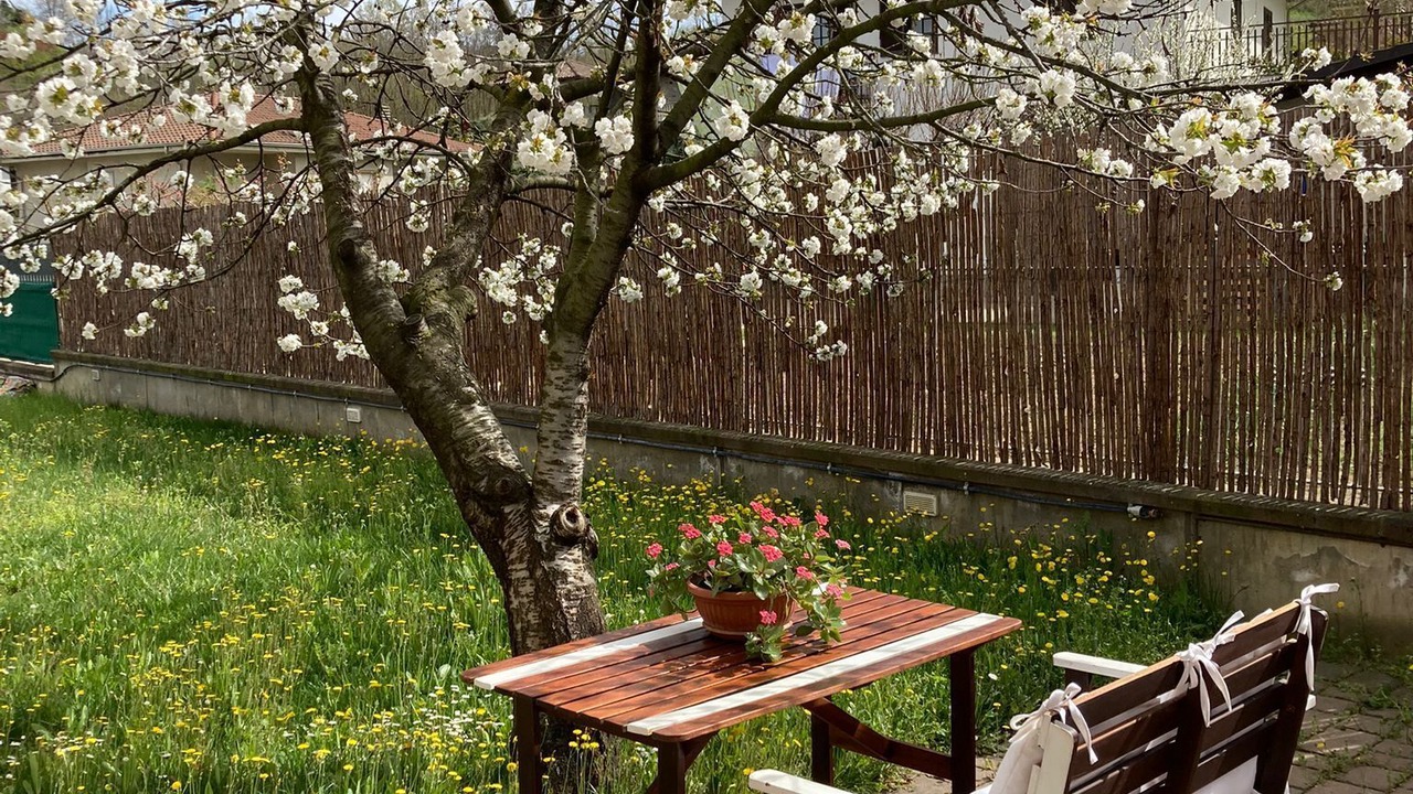 Photo of Outdoor in Canelli