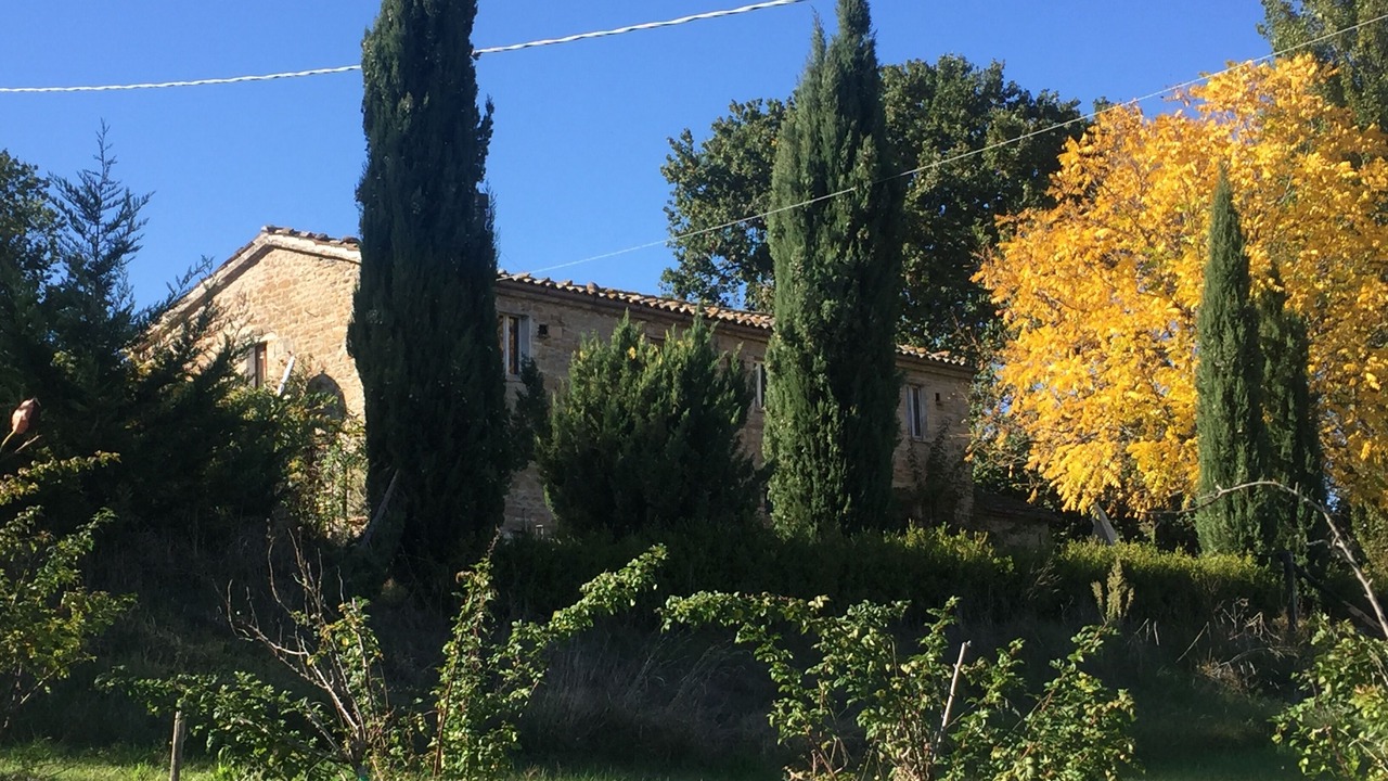 Photo of Outdoor in San Lorenzo in Campo