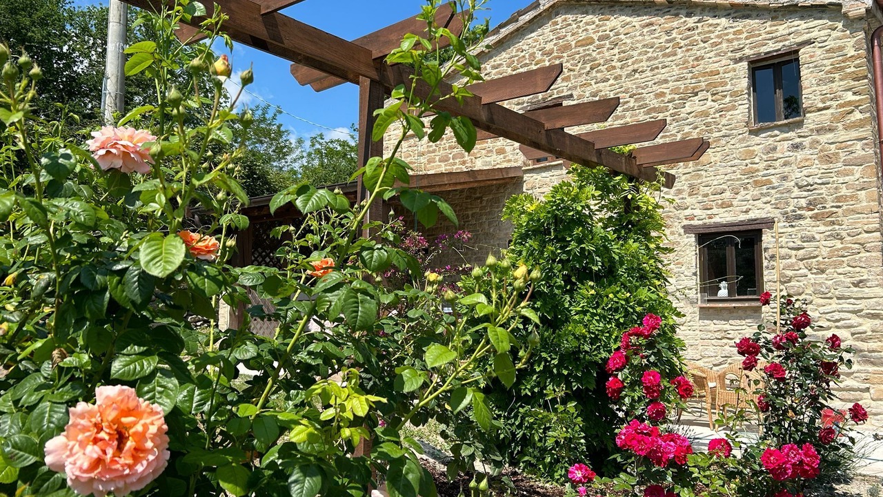 Photo of Outdoor in San Lorenzo in Campo