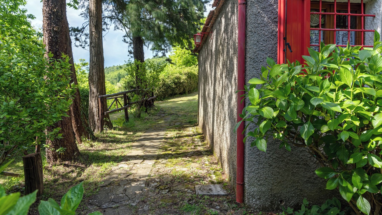 Photo of Outdoor in Saturnana