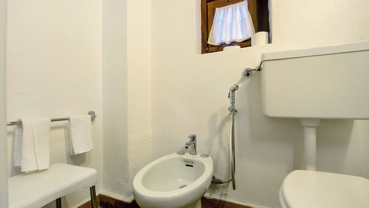 Photo of Bathroom in Saint Maurice