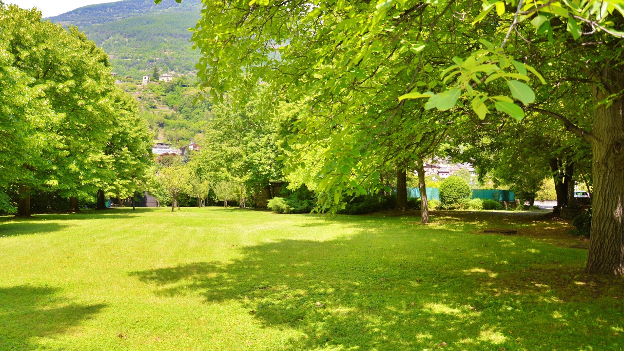 Photo of Outdoor in Saint Maurice