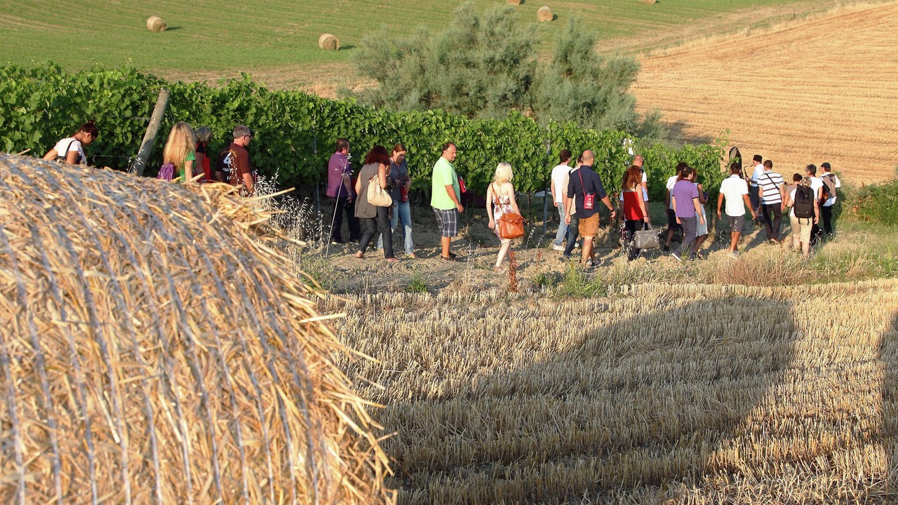 Photo of Others in Passano