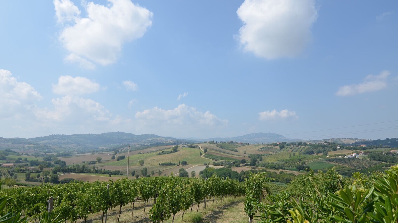Photo of Others in Passano