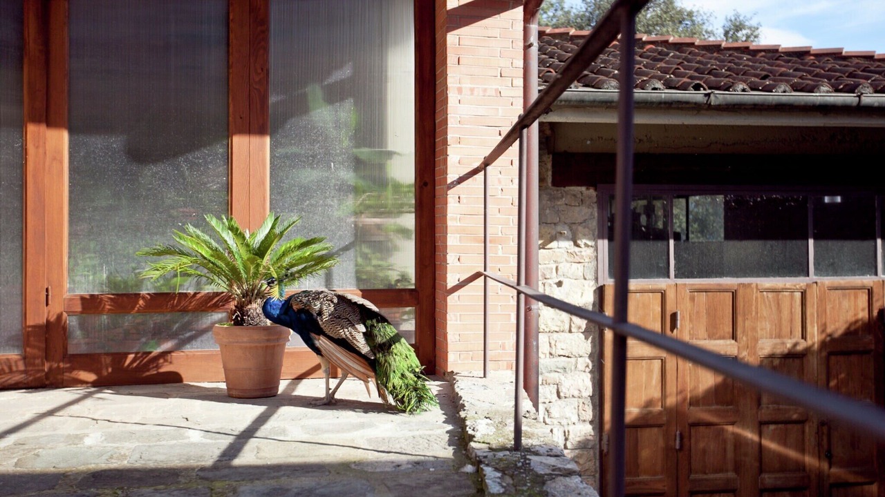 Photo of Patio Balcony in Greve in Chianti