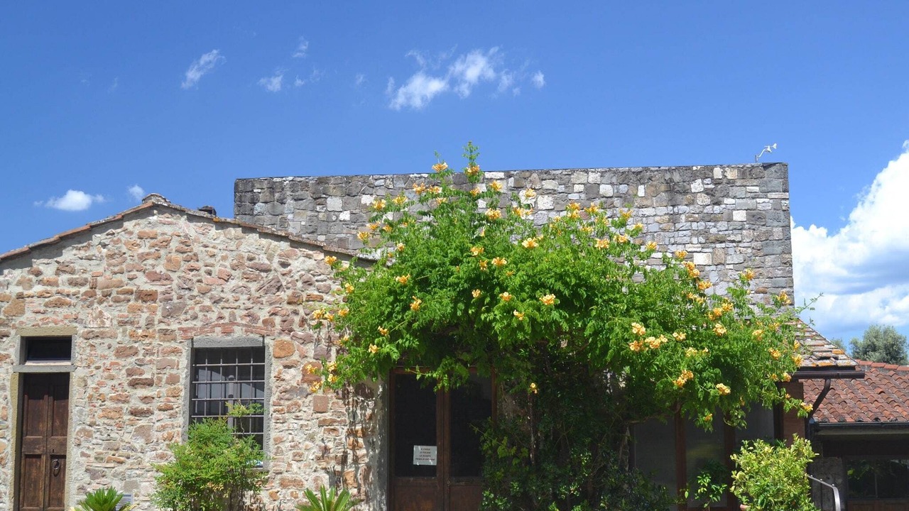 Photo of Outdoor in Greve in Chianti