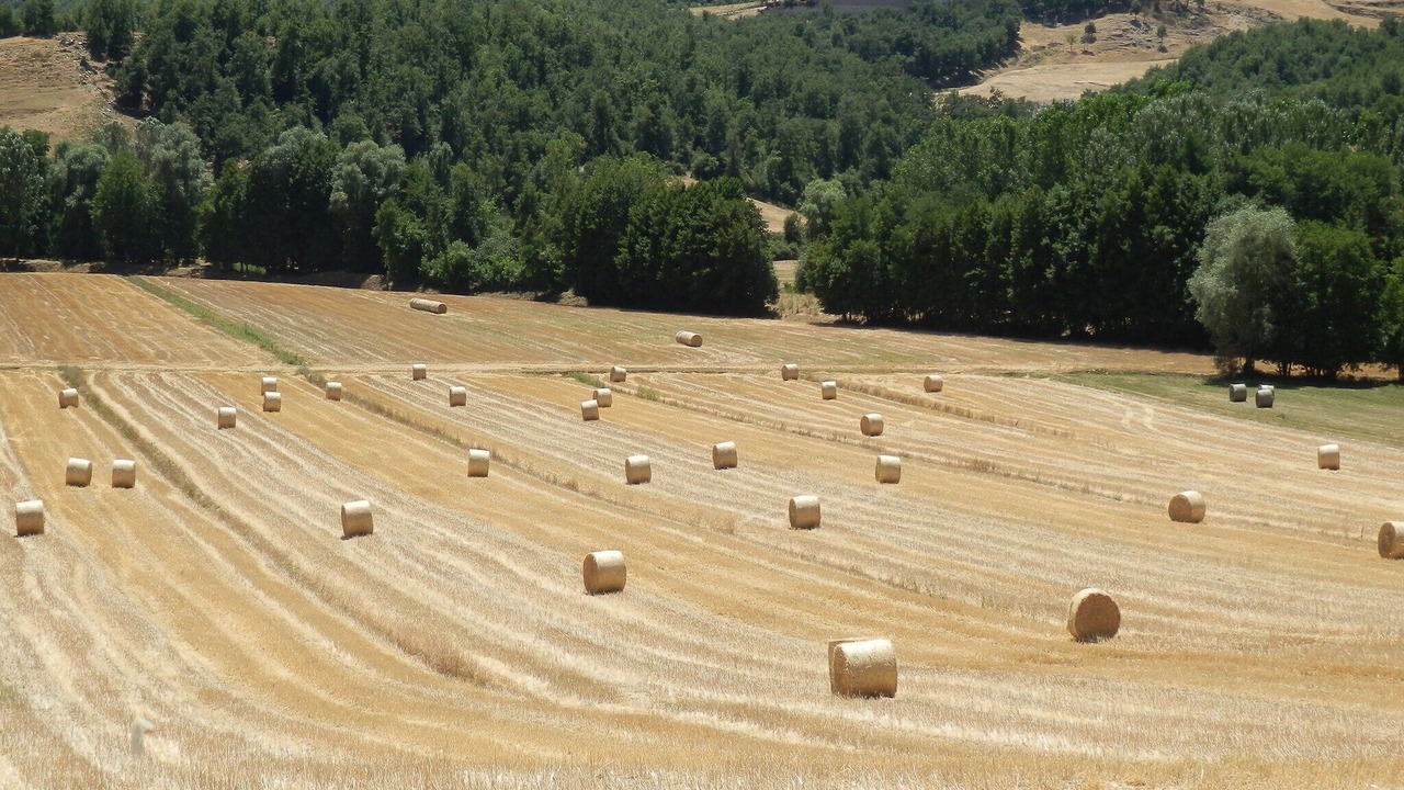 Photo of Others in Ortignano Raggiolo