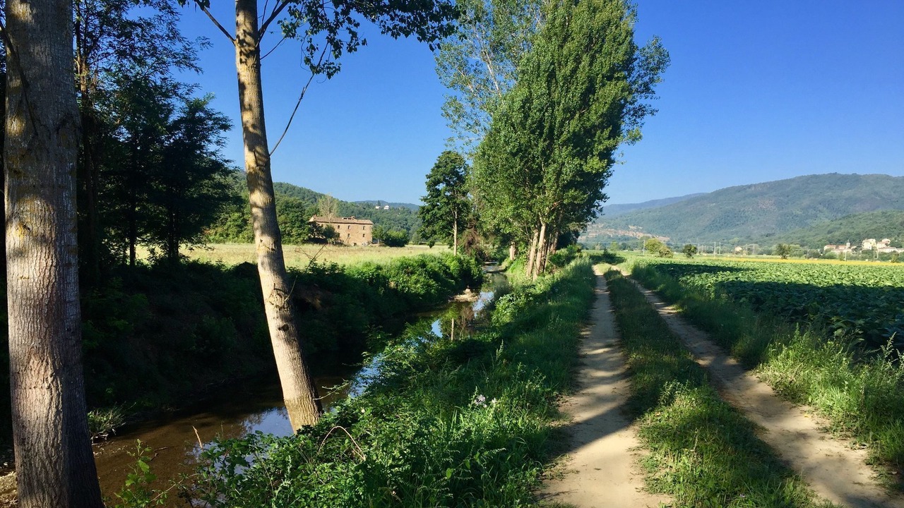 Photo of Others in Monterchi