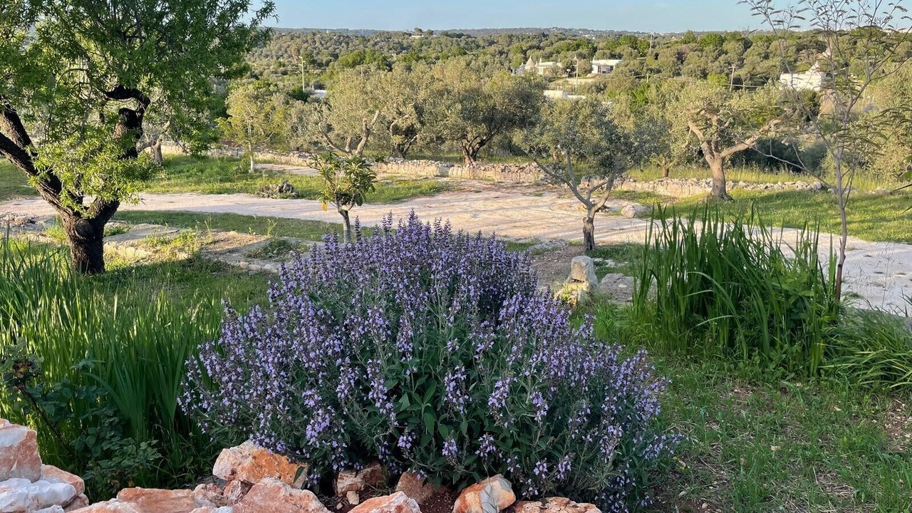 Photo of Outdoor in Fumarola
