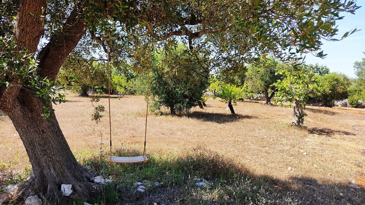 Photo of Outdoor in Fumarola