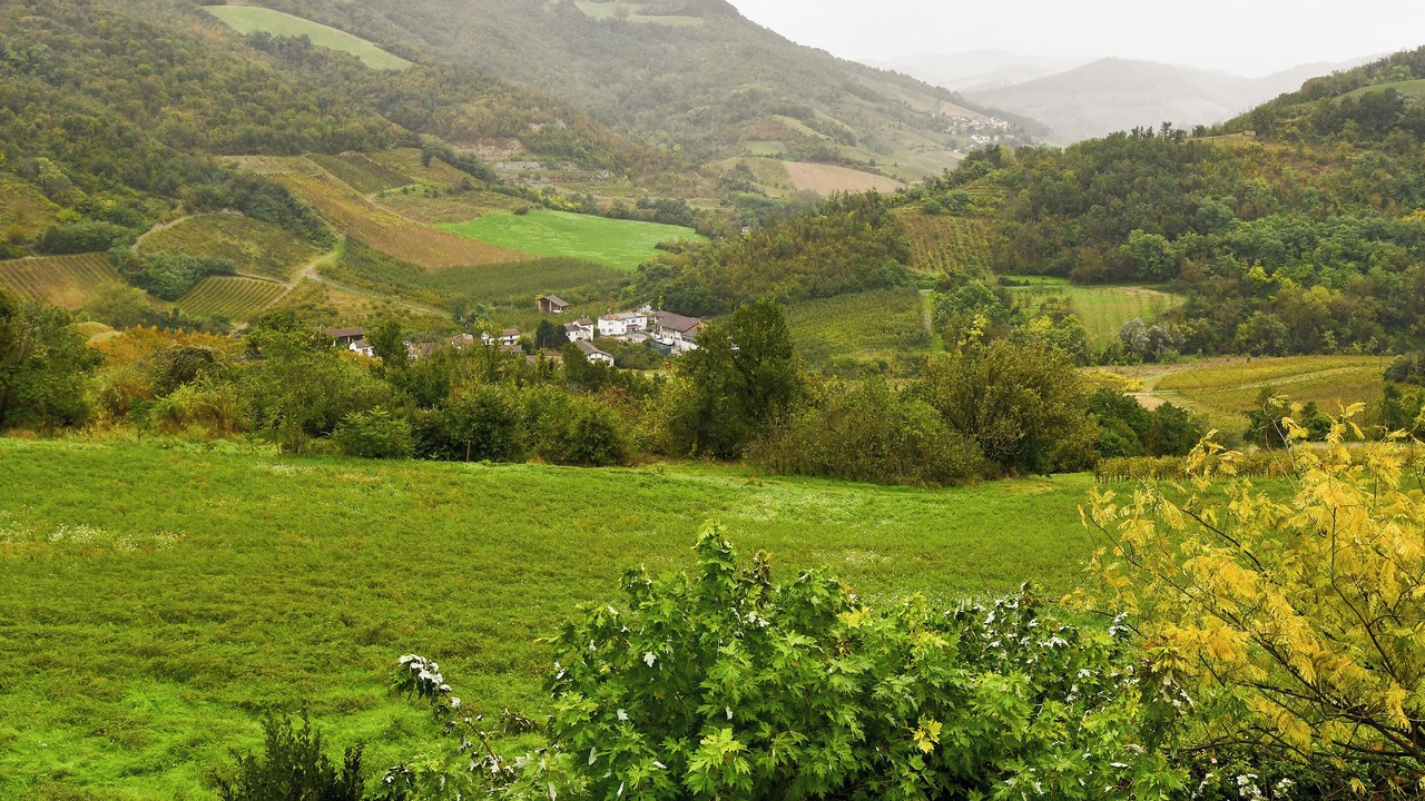 Photo of Others in Torrazza Coste