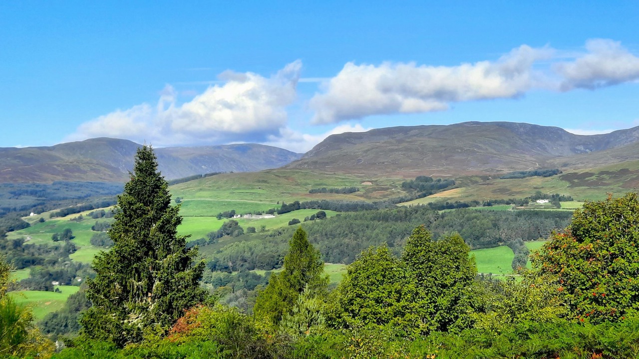Photo of Others in Crieff