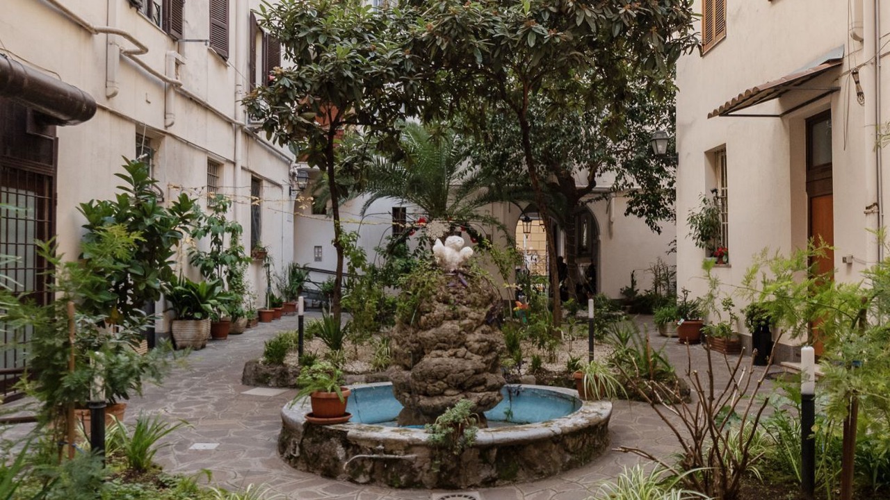 Photo of Outdoor in San Lorenzo