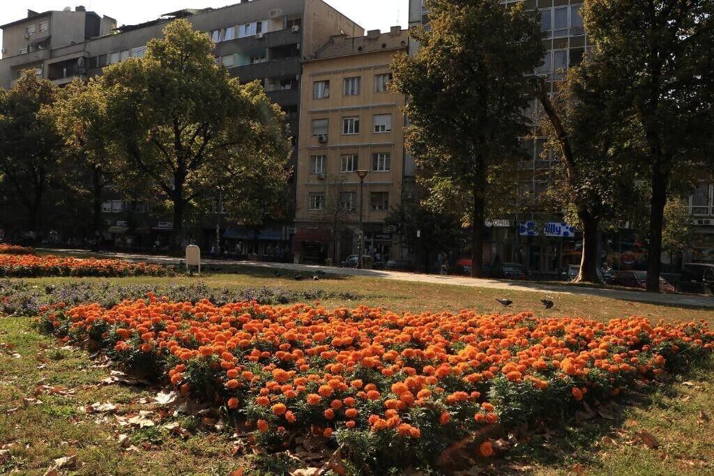 Photo of Outdoor in Sarajevska