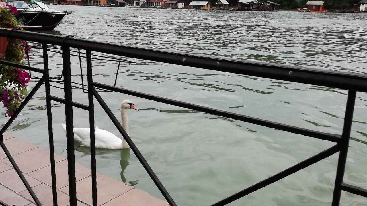 Photo of Outdoor in Novi Beograd