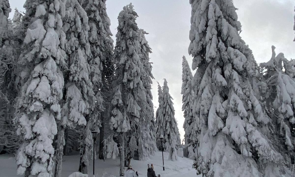 Photo of Others in Kopaonik