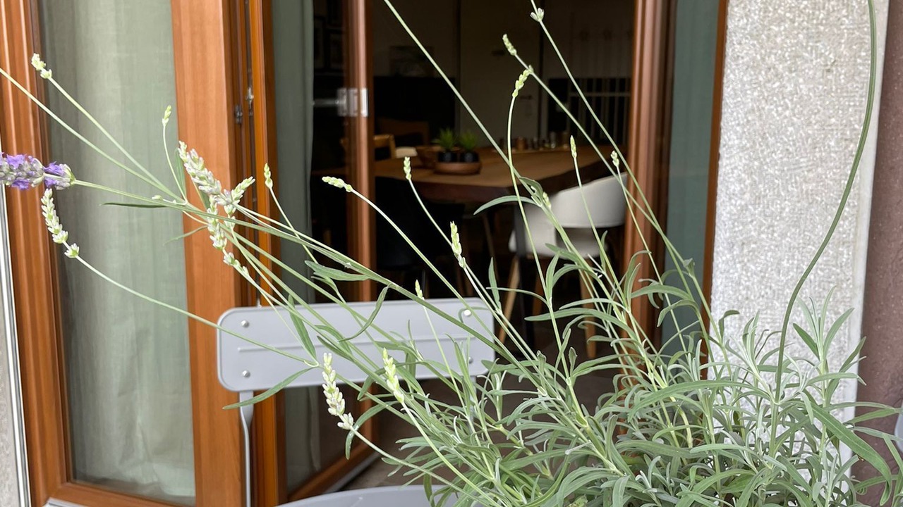 Photo of Outdoor in Mazzo