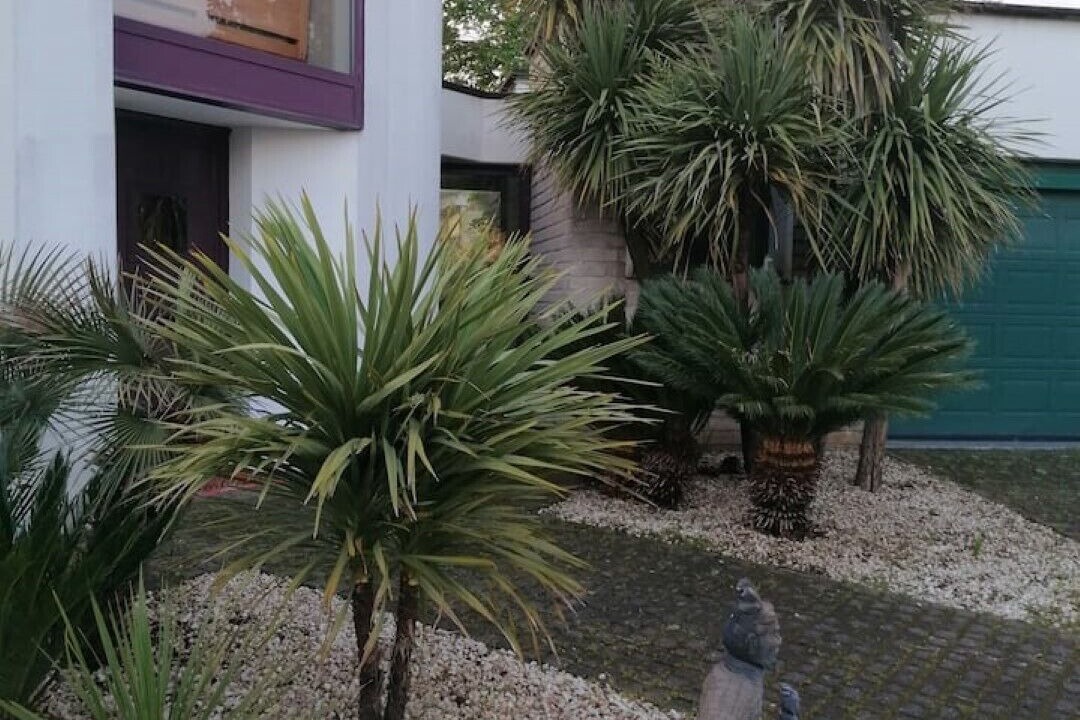 Photo of Outdoor in Artena