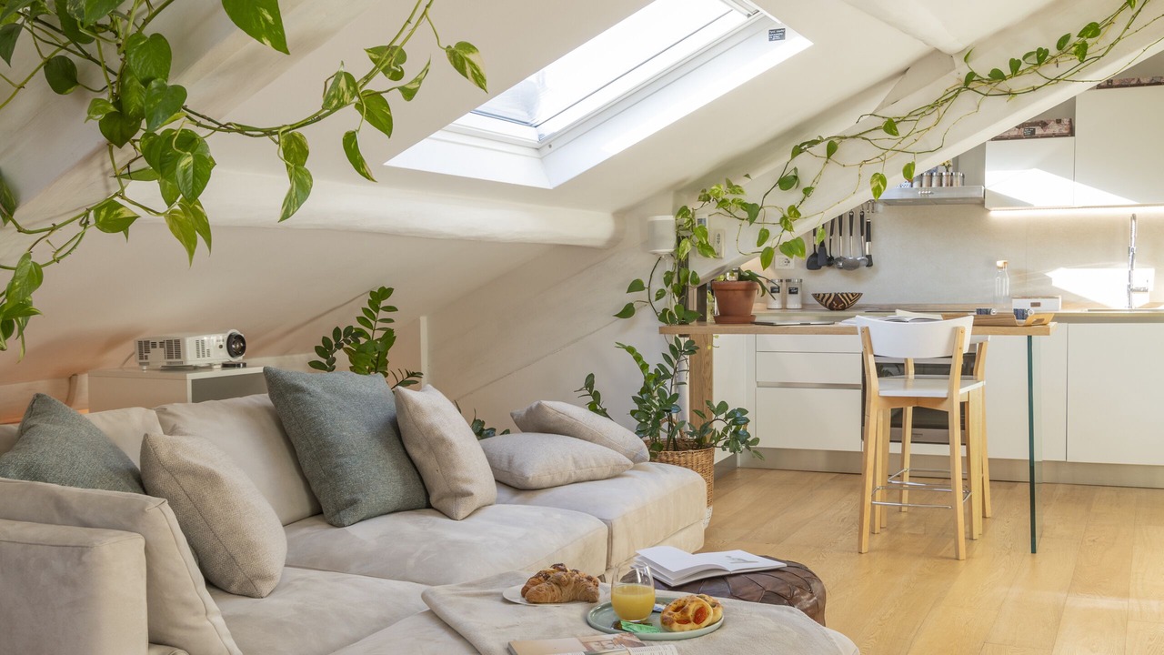 Photo of Livingroom in Magenta