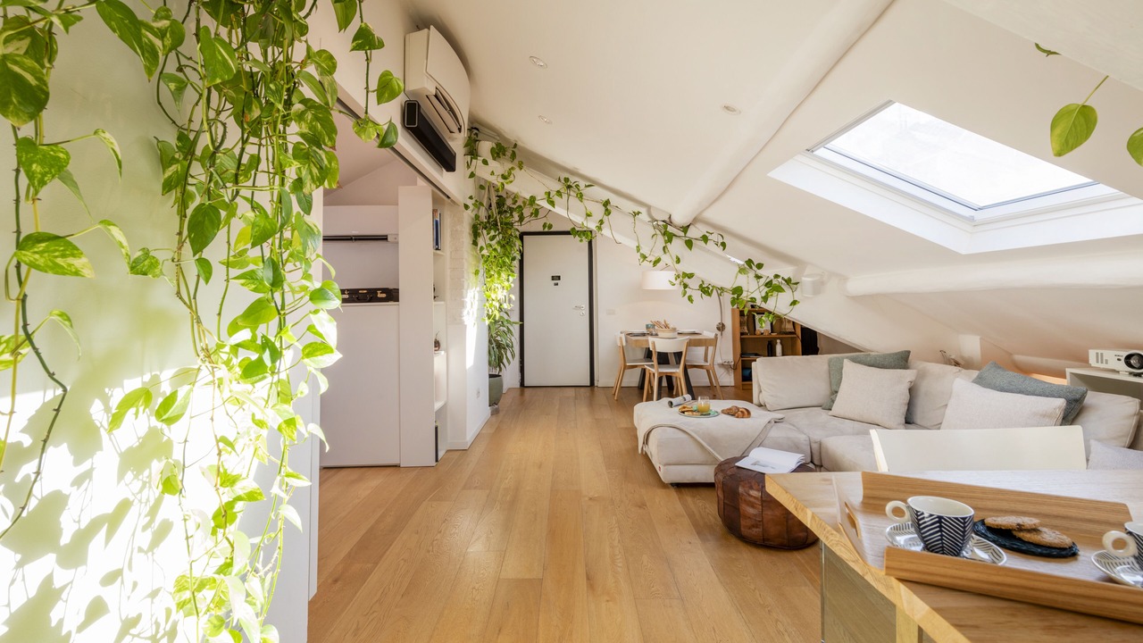 Photo of Livingroom in Magenta