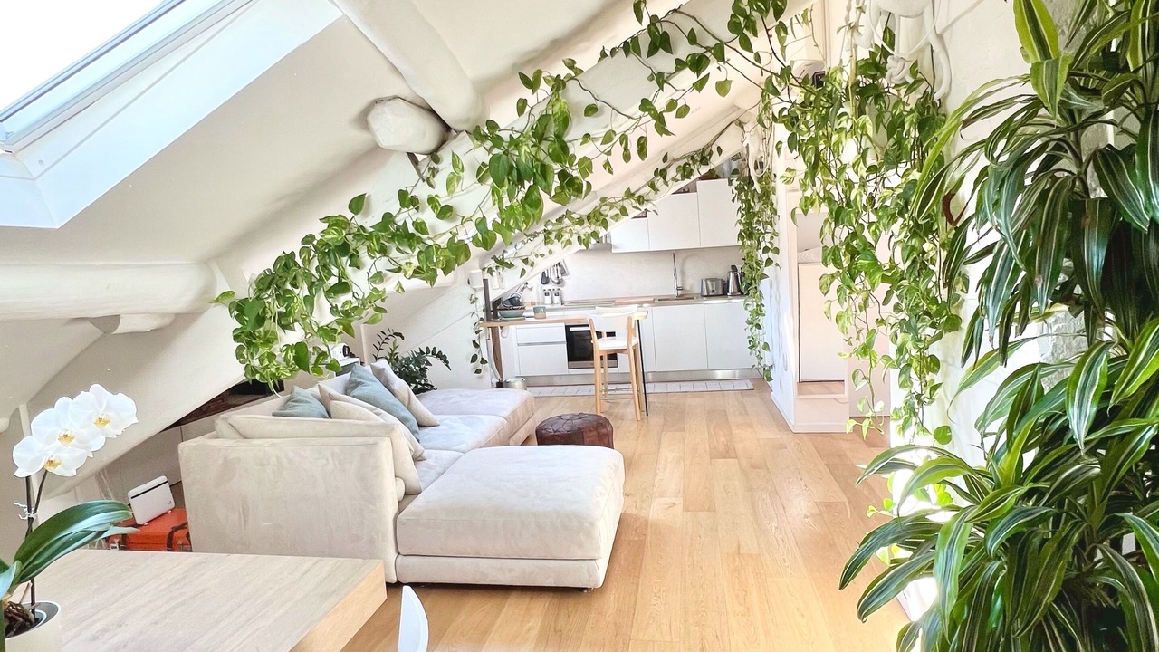 Photo of Livingroom in Magenta