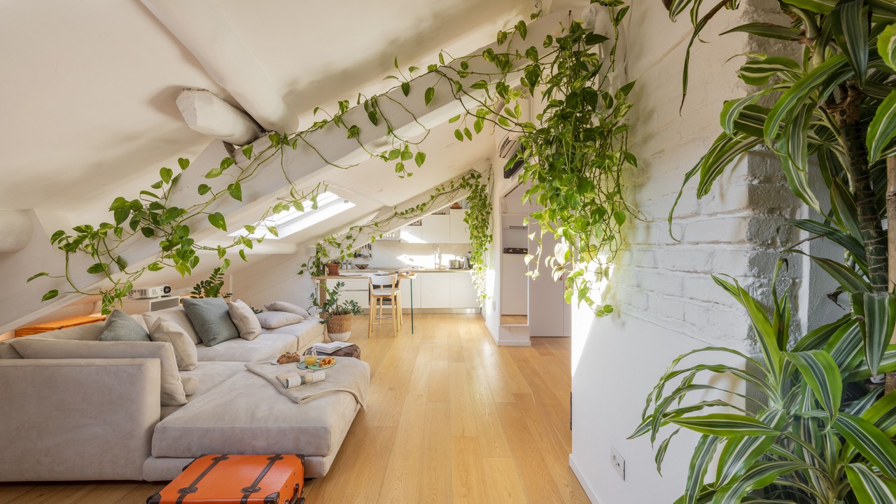 Photo of Livingroom in Magenta