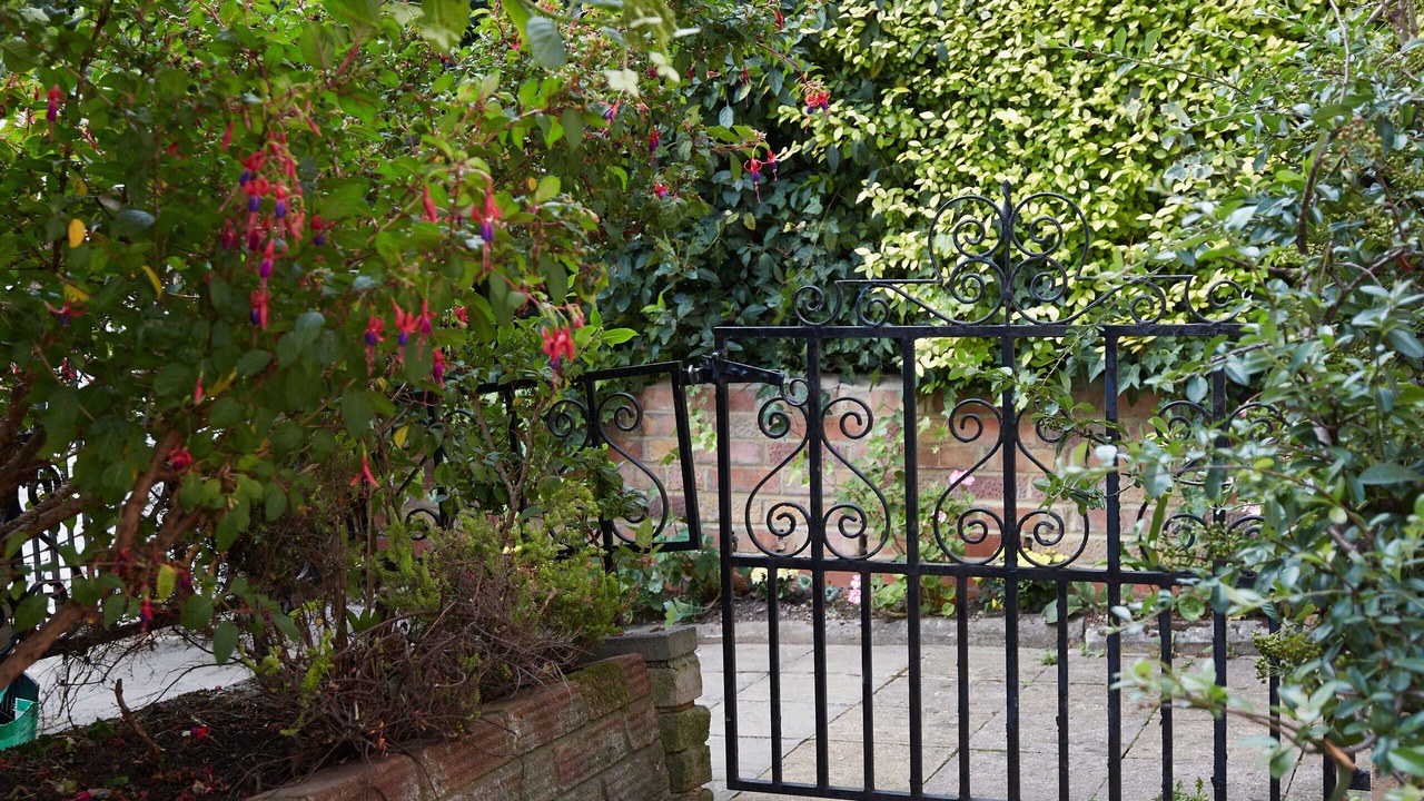 Photo of Outdoor in Primrose Hill