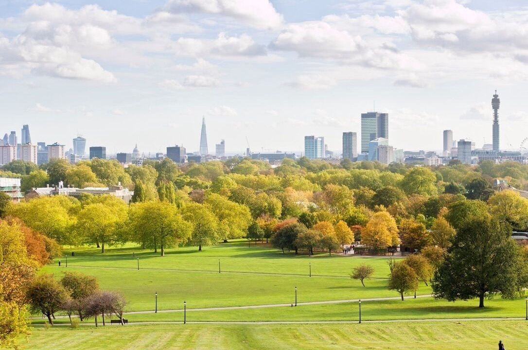 Photo of Others in Primrose Hill