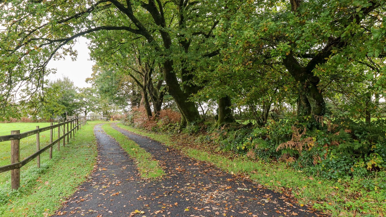 Photo of Outdoor in Margam