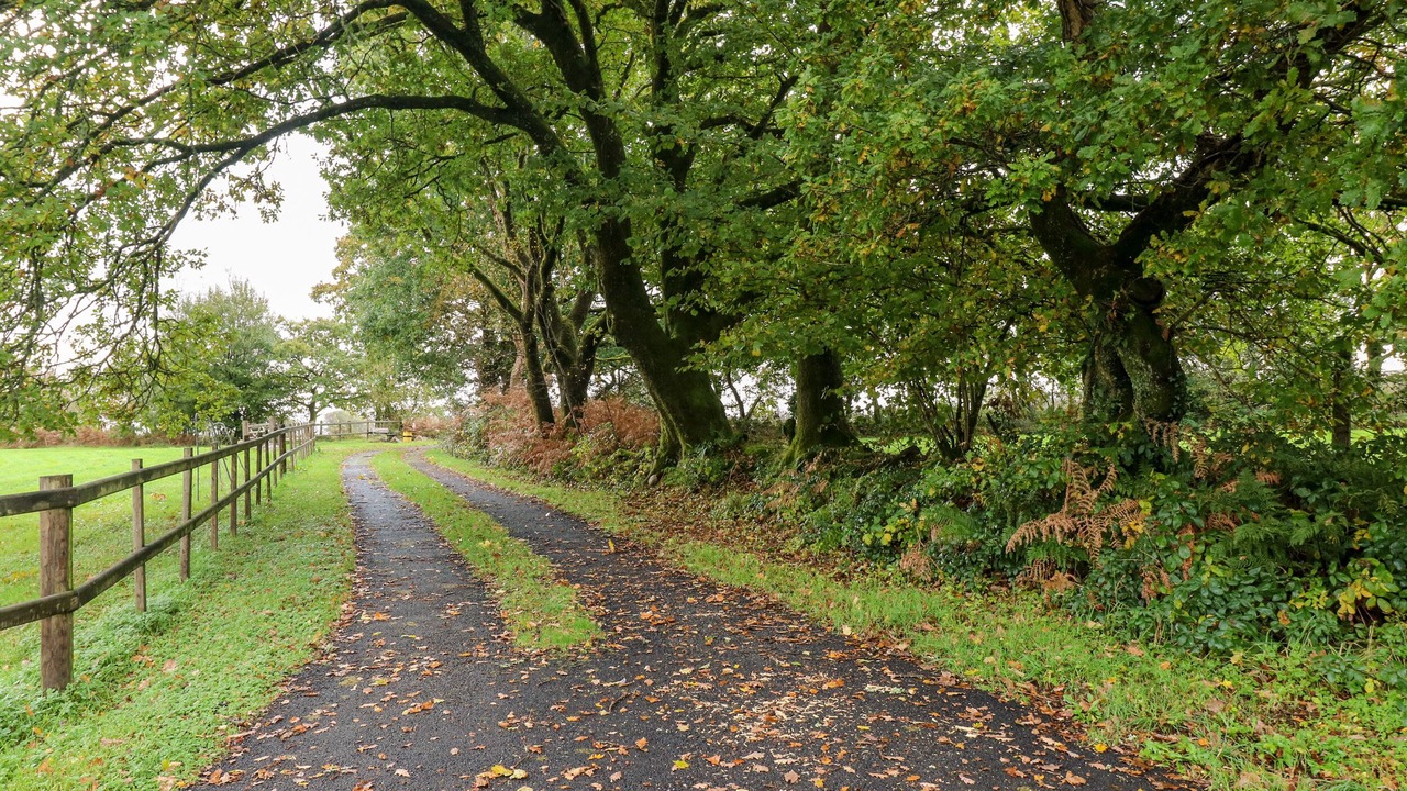 Photo of Outdoor in Margam