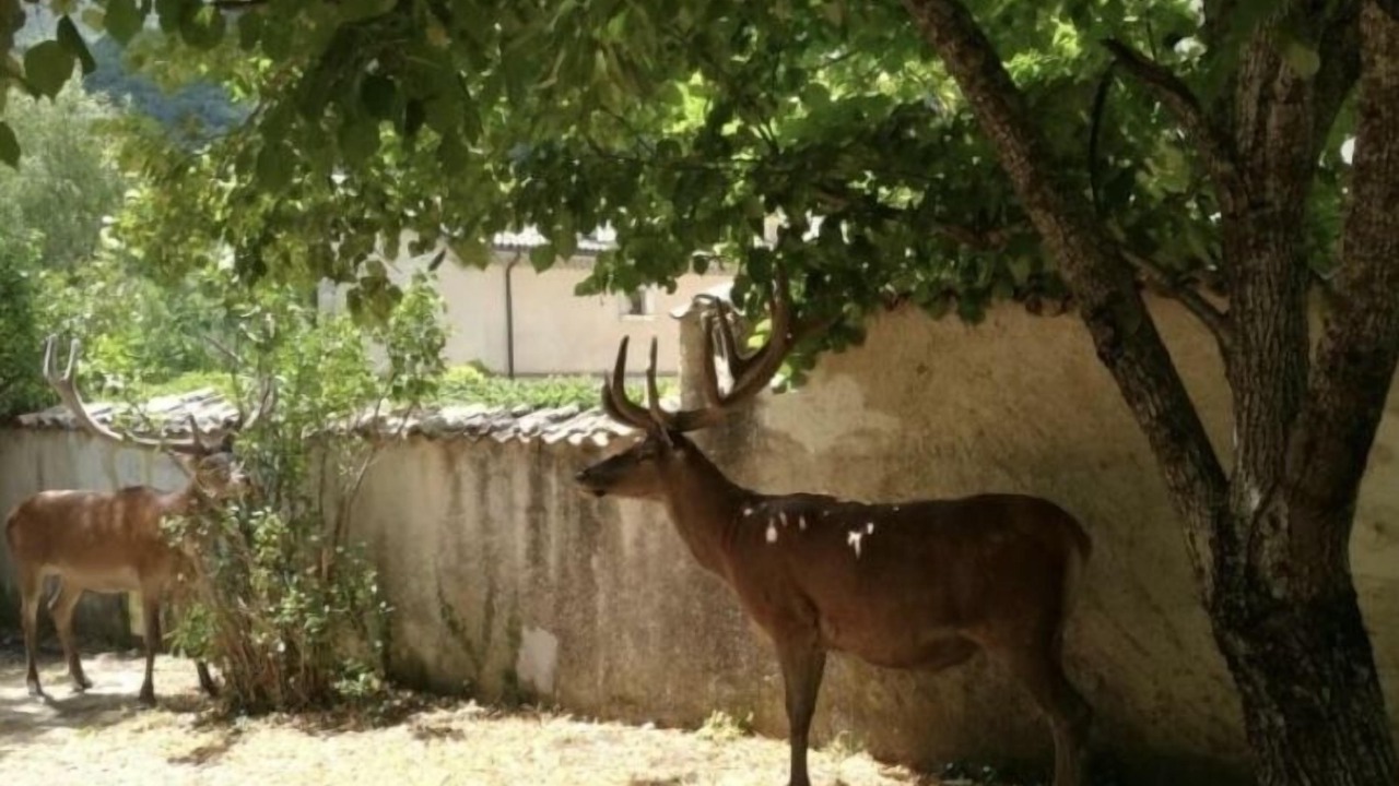 Photo of Outdoor in Villetta Barrea